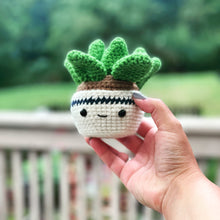 Crochet Succulent • Desk Buddy • Smiling Succulent